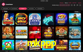 Premium Interface mkppp